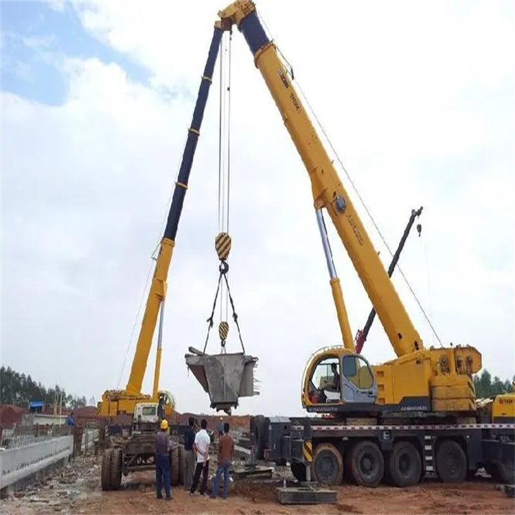 苏州小型吊机出租电话|厂房设备吊装方案|24小时服务覆盖